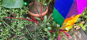 20250222_135557 Tower Hill Botanic Garden, MA